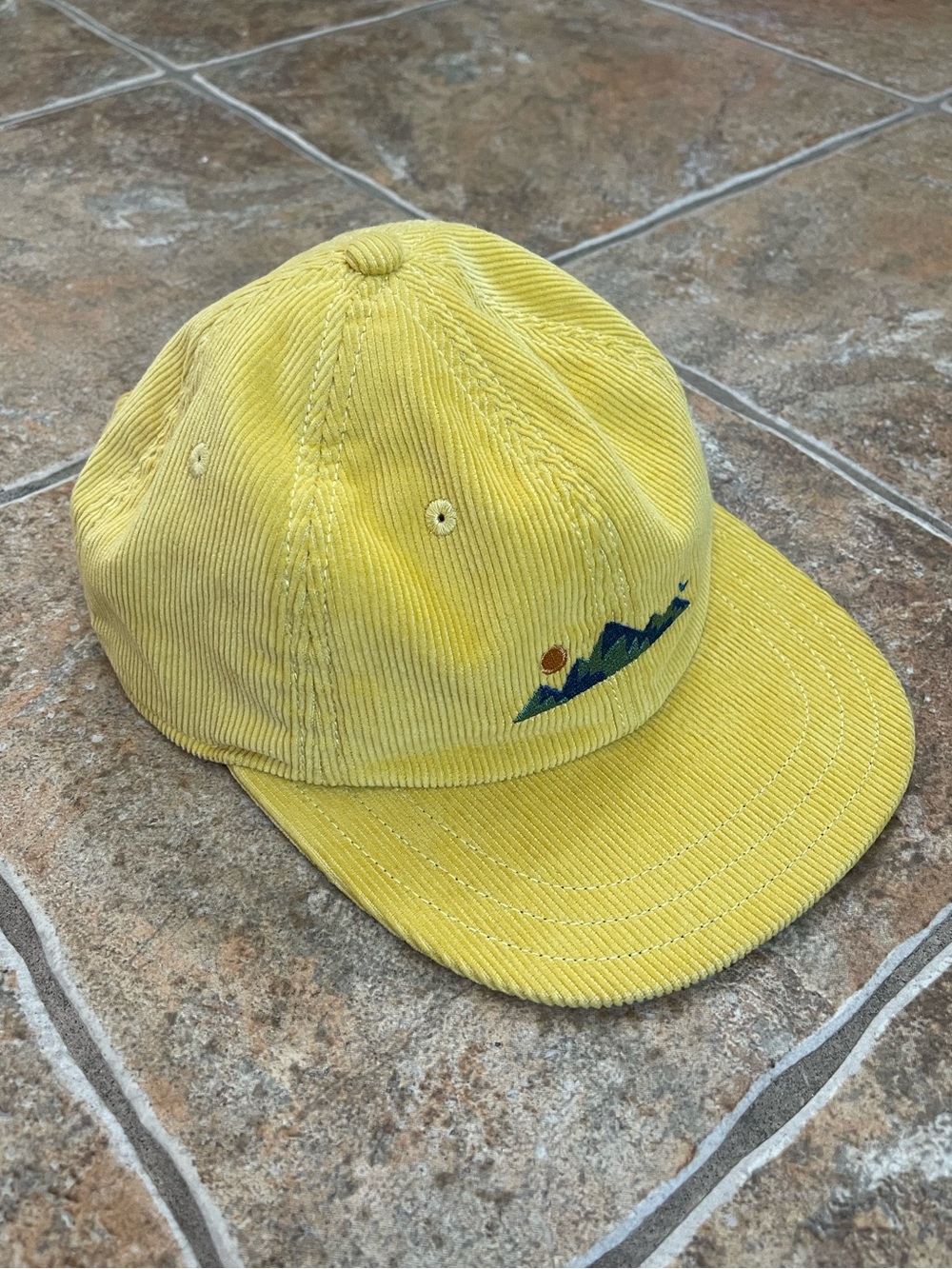 Patagonia Corduroy Cap